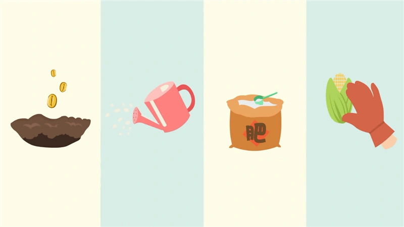 1513925040949539.png 4_副本.png
